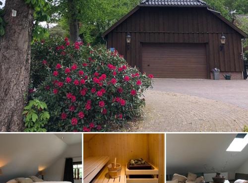 B&B De Drentse Es