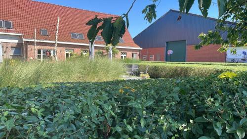 B&B De Zandput