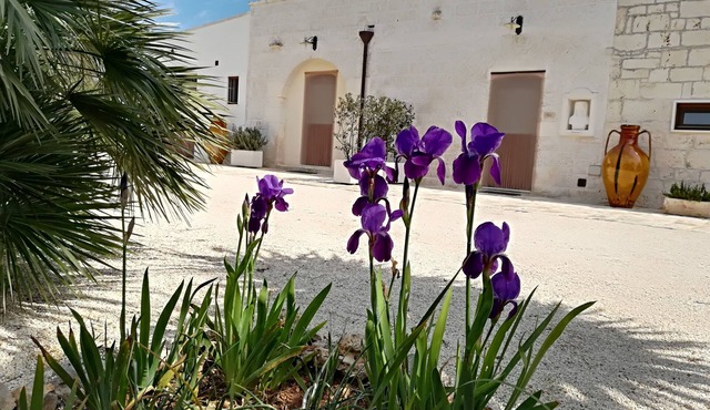 B&B Demetra