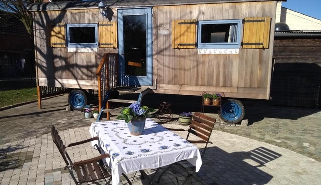B&B Dream On Wheels