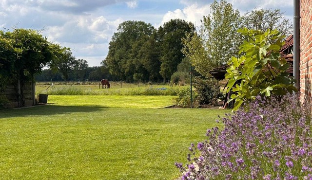 B&B Droomzoet