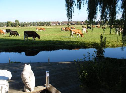 B&B-Edam