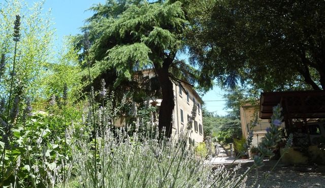 B&B Gabri