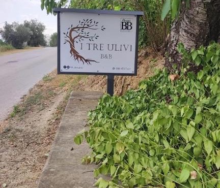B&B I Tre Ulivi