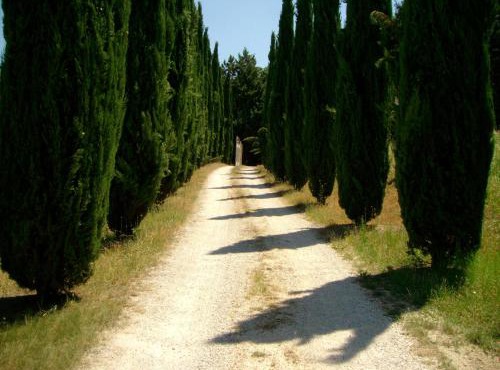 B&B Il Grotto