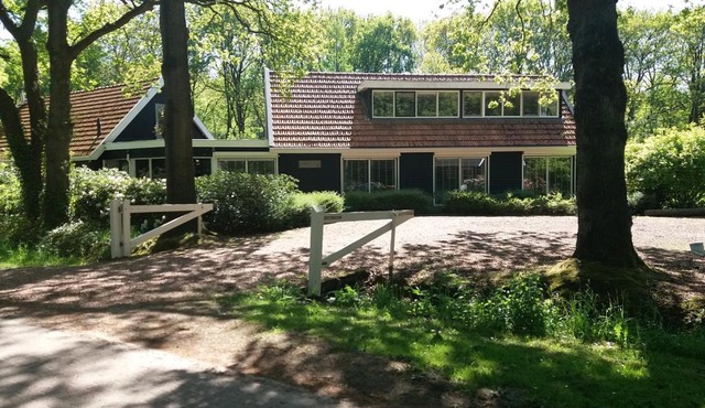 B&B Immer met Moed