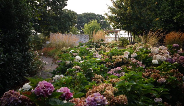 B&B Johannes-Hoeve
