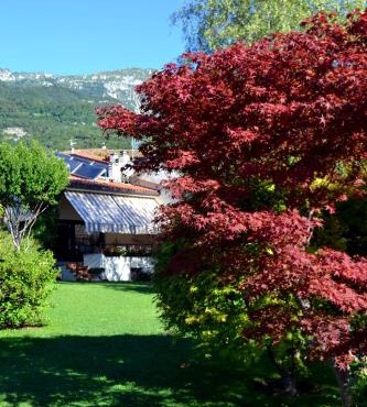 B&B La Betulla