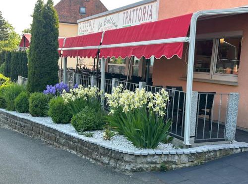 B&B la Collina