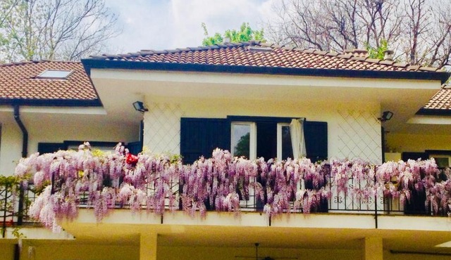 B&B La libellula