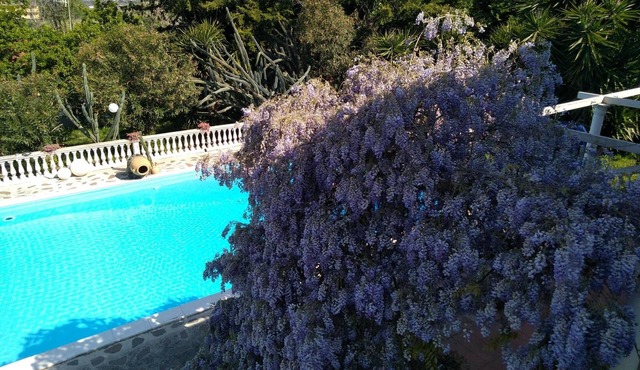 B&B La Marchesa