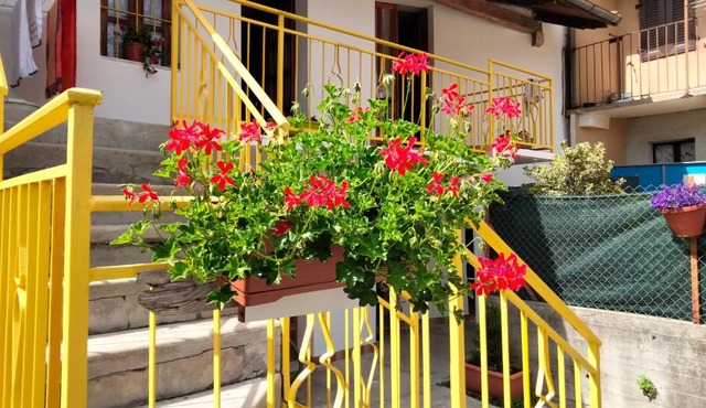 B&B LA MARMOTTA