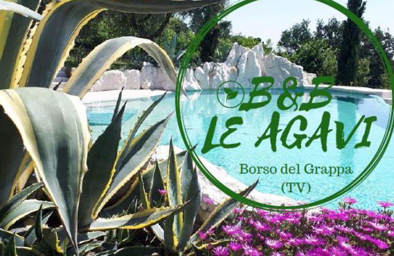 B&B LE AGAVI