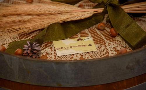 B&B Le Coccinelle