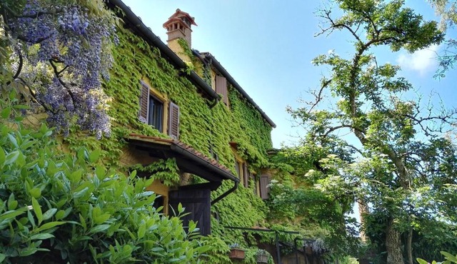 B&B Le Due Volpi