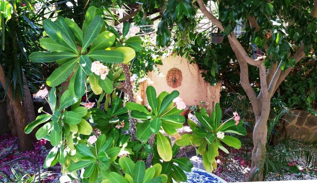 B&B Le Terrazze