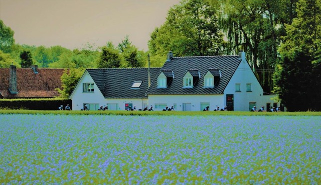 B&B Maison Kerkhove
