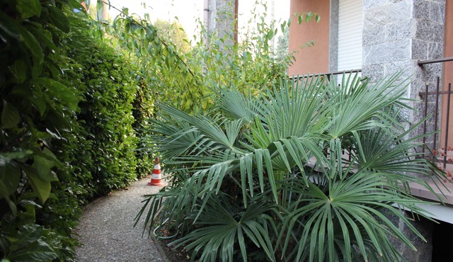 B&B Milano Malpensa 1