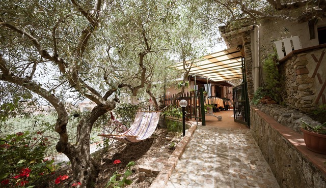 B&B Panorama