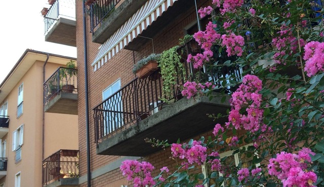 B&B Pergolesi
