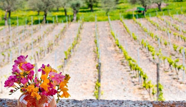 B&B Pessighette Dimora di Campagna