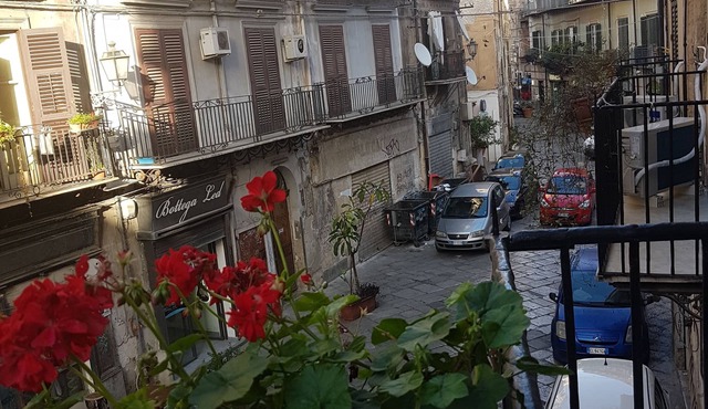 B&B Ponticello