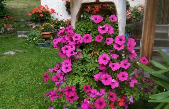 B&B PRA' DEI CERVI