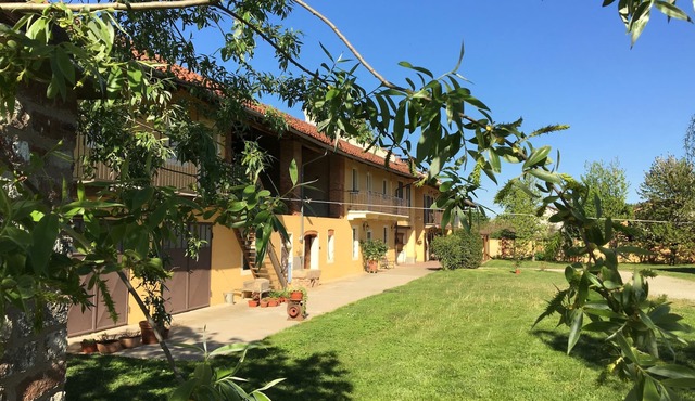 B&B Quattro Gatti