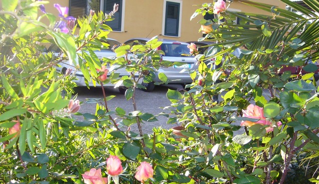 B&B S. ELIA ORANGE room: ENCHANTING VILLA IMMERSED IN THE HISTORICAL PARK DUBINI