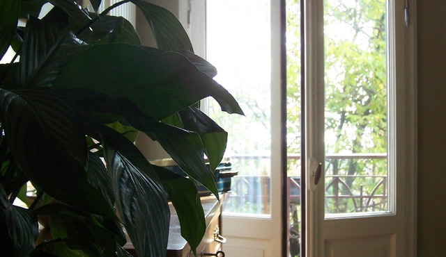 B&B Torre Lara