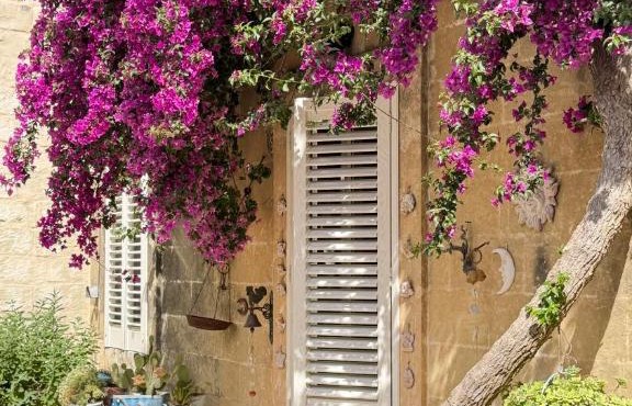 B&B Vernole1713