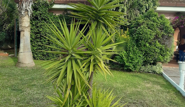 B&B Villa Giovanni