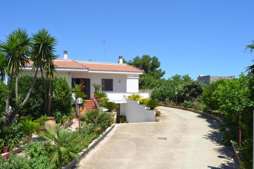 B&B Villa Sitrie