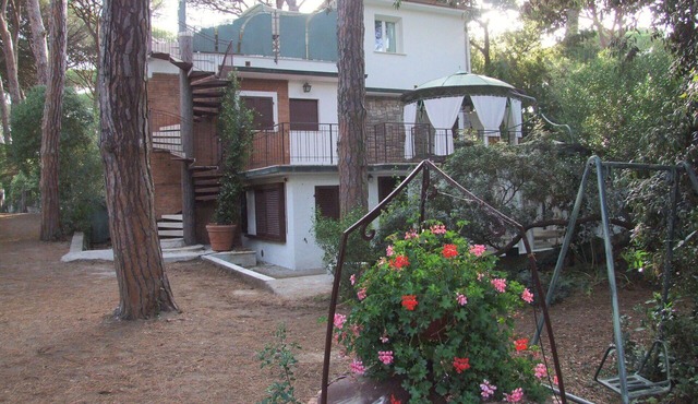 Beautiful apartment for 3 guests with WIFI and TV