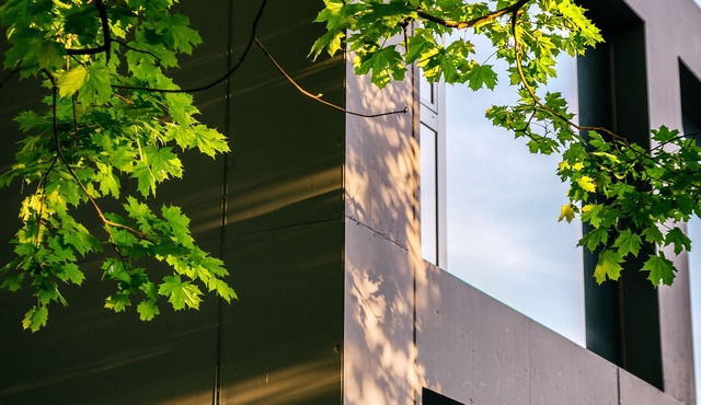 b smart hotel Widnau