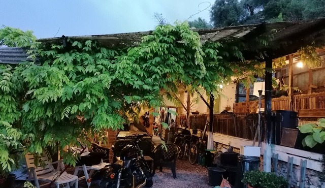 Back to nature, comfort lodging in an olive grove - a truly unique place to stay