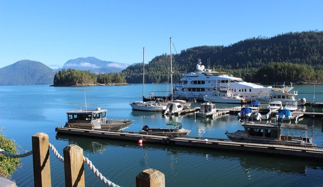 Backeddy Resort and Marina