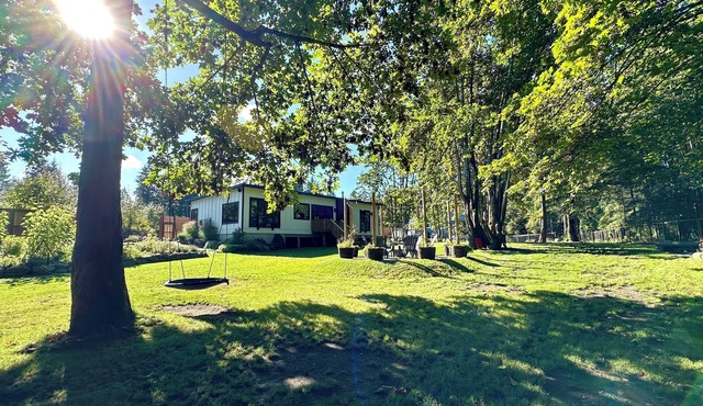 Backyard Bliss! Family and dog friendly home steps from River