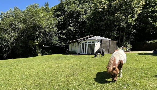 BADGER VIEW, romantic, luxury holiday cottage in Culverstone Green