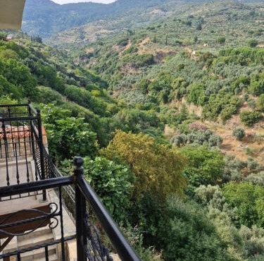 Bahab Plus Guesthouse
