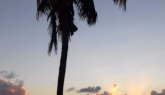 Bahama Breeze Waterfront Luxury Detached Vacation Home