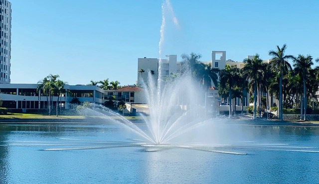 Bahia Del Mar Isla Del Sol 2/2 Pool 6100