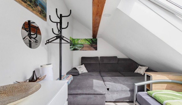 Bailey Shared Apartment Room with Wi-Fi in Attic