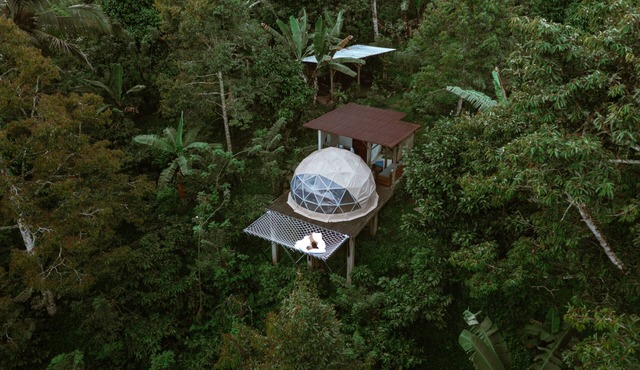 Bali Jungle Camping