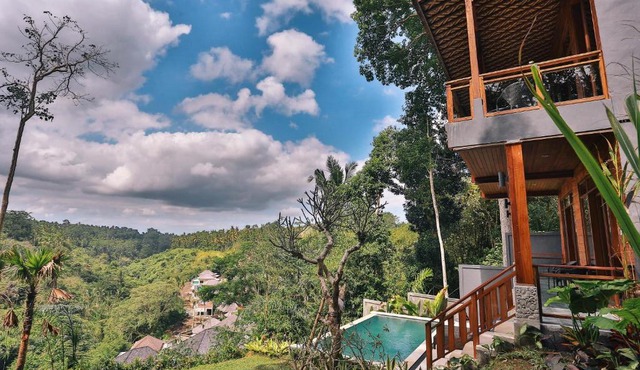Bali Ubud Villa View