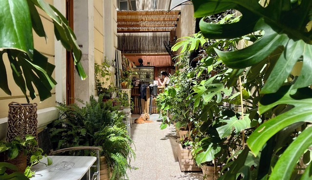 Baloo Hostel