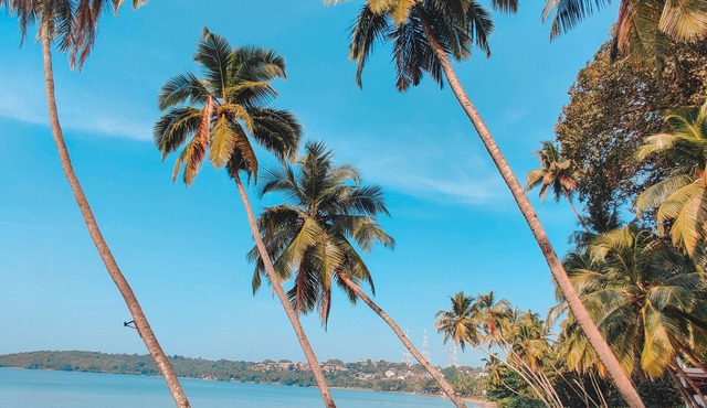 Bambolim Beach Resort