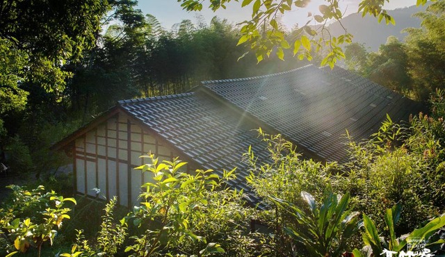 Bamboo House