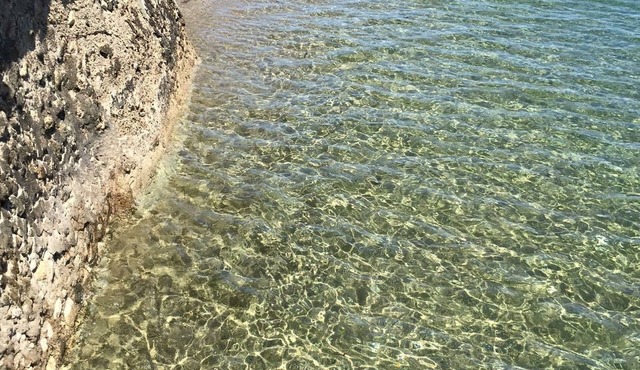 Bamboo Paradise Beach Resort