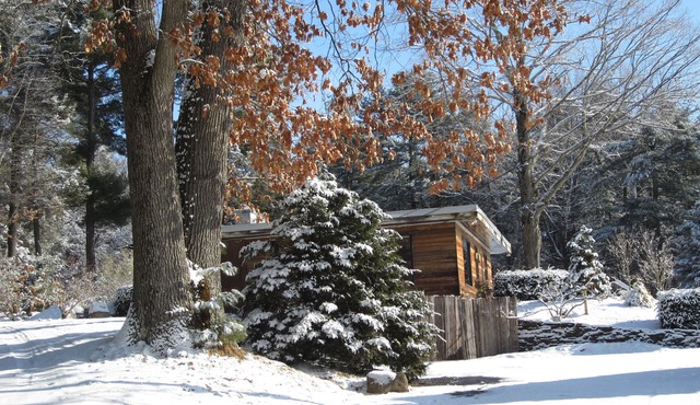 Bamboo: Spacious with Cedar Wet-room, Private Patio